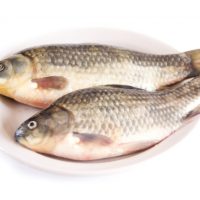 Poisson